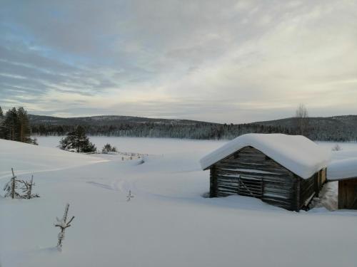 an old barn covered in snow in a field at Lemmenjoki Camping EcoCabins in Lemmenjoki