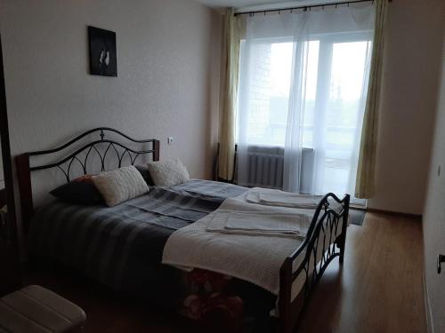 a bedroom with a bed with a large window at Ergli Apartment in Ērgļi