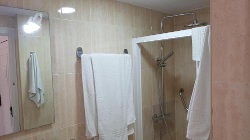 Koupelna v ubytování Torreoceano H4