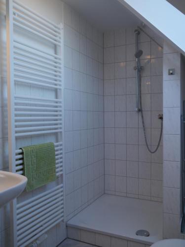 W łazience znajduje się prysznic i umywalka. w obiekcie Ferienhaus-Uckermarkblick w mieście Rosenow