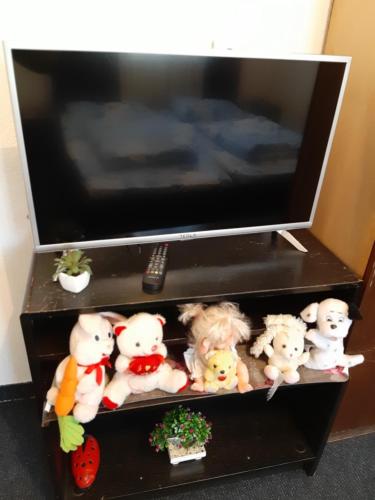 a group of stuffed animals on a shelf under a tv at SubotićSmještaj in Kulaši