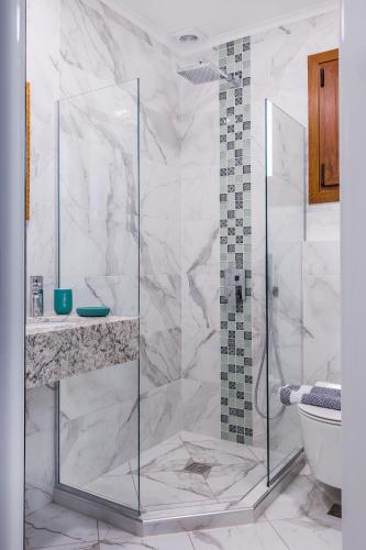 a glass shower in a bathroom with a toilet at Okean Studios in Ierissos