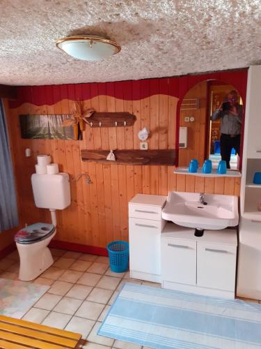 ein Bad mit einem Waschbecken und einem WC in der Unterkunft Ferienhaus Pirker in Flattach