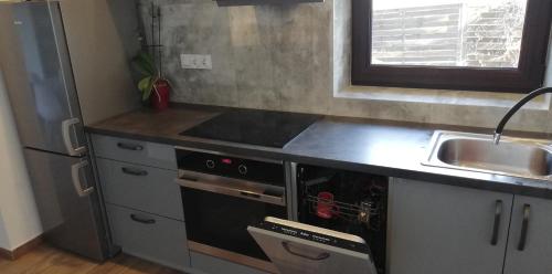 a kitchen with a stove top oven next to a sink at Lion Apartment in Andrychów