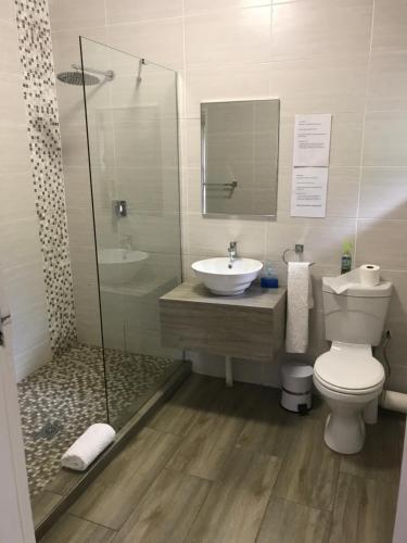 a bathroom with a toilet and a sink and a shower at Aerotropolis Guest Lodge in Kempton Park