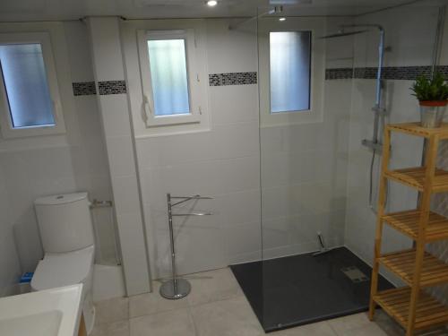 サン・ジャン・ド・モーリエンヌにあるBonne Nouvelleのバスルーム(トイレ、ガラス張りのシャワー付)
