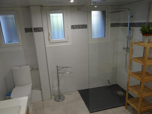 un bagno con wc e doccia in vetro di Bonne Nouvelle a Saint-Jean-de-Maurienne