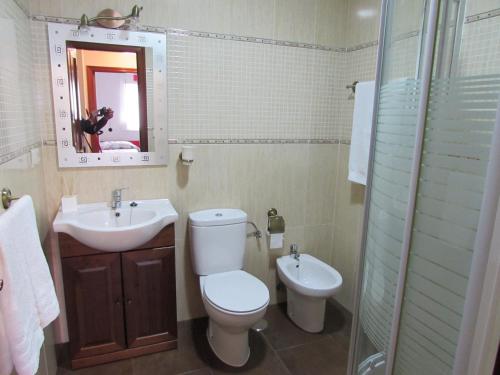 a bathroom with a toilet and a sink and a mirror at Luz y Mar in Aljaraque