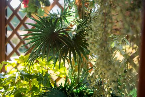 A casa...da Bruna – Photos 5
