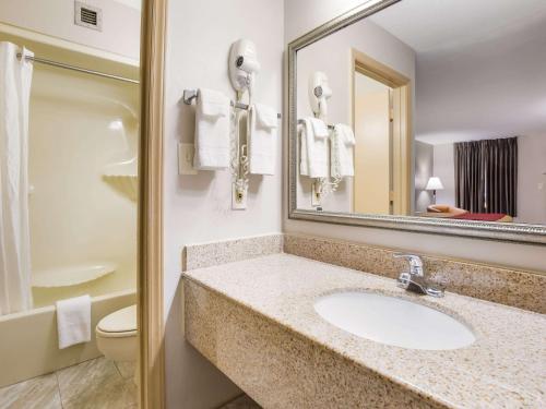 a bathroom with a sink and a mirror and a toilet at Econo Lodge in Hendersonville