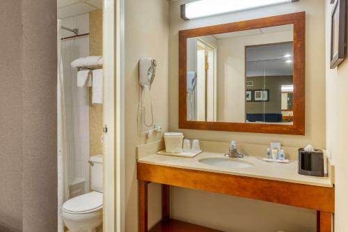 a bathroom with a sink and a mirror and a toilet at Comfort Suites Oakbrook Terrace near Oakbrook Center in Oakbrook Terrace