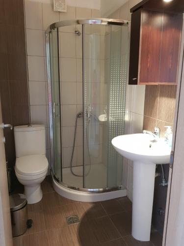 a bathroom with a shower and a toilet and a sink at Lemon Flowers Apartments in Nea Skioni