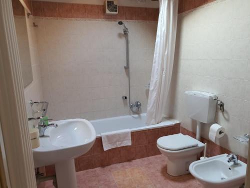 uma casa de banho com um lavatório, um WC e um chuveiro em Il Borghetto em Lonigo