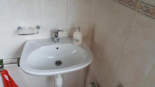 a bathroom sink with a bottle of soap on it at Ferienhhaus-Mobilheim freies WLAN in Sirjansland