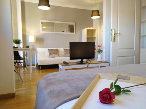 a room with a bed and a living room with a television at Apartamentos Pirra - Aeropuerto Ifema in Madrid