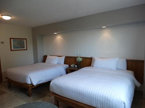 Hotel Amberes en Querétaro
