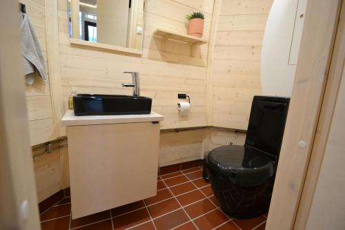 a small bathroom with a sink and a toilet at Ilveslinna in Laukaa