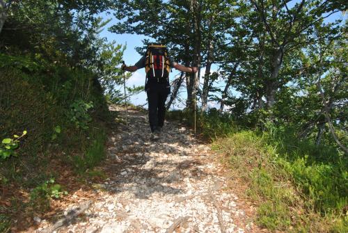 a person walking down a dirt trail at Berry House in Vigolo Vattaro