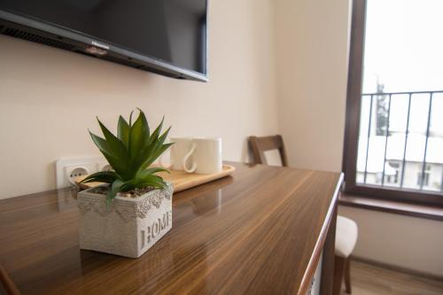 a potted plant sitting on top of a wooden table at The Grand Piano Hotel in Kutaisi