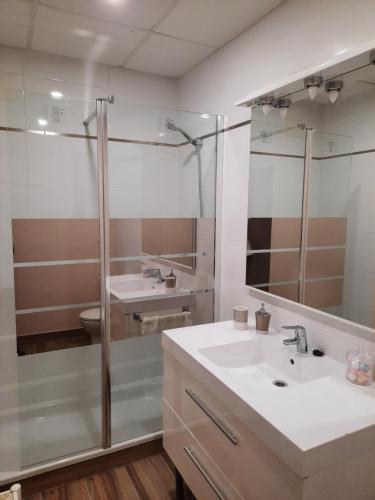 baño con 2 lavabos y ducha de cristal en ERAS 3, en Herencia