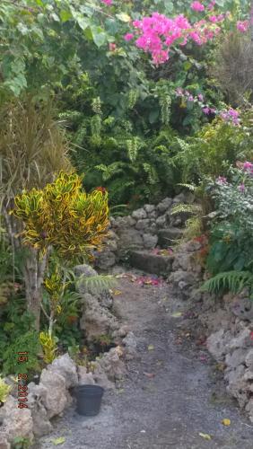 a garden with flowers and plants and a path at chez annick et jacques in Garnier