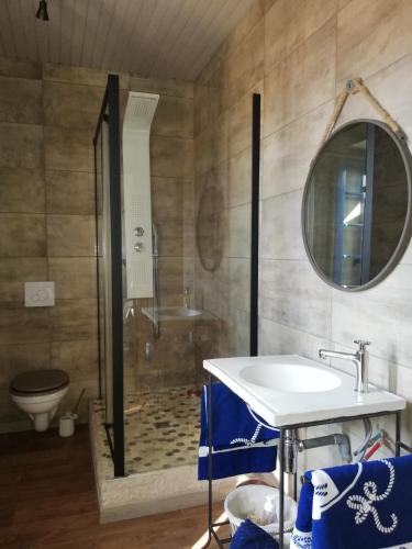 a bathroom with a shower and a sink and a toilet at Parfumu Di Celu in Corte
