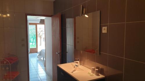 uma casa de banho com um lavatório e um espelho em Chambres d'Hôtes des trouilles em Lafrançaise