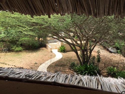 a view of a garden with a tree and a walkway at Mangrove House in Lamu