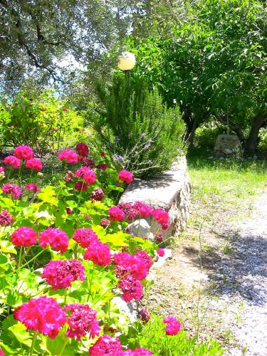 a garden with pink flowers and a stone wall at Kyra's Paradise in Potistika