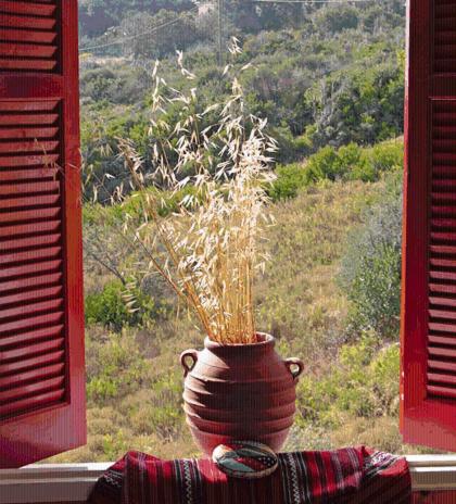 a vase sitting on a window sill with a plant at Kyra's Paradise in Potistika