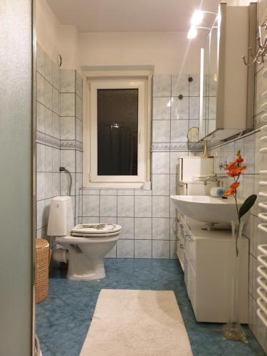 łazienka z toaletą, umywalką i oknem w obiekcie słoneczne apartamenty w Krościenku