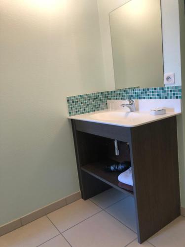 a bathroom with a sink and a mirror at Maison d'hôtes La Colombelle in Colombé-le-Sec