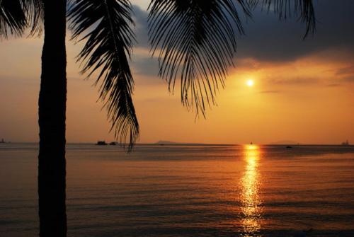 a palm tree on the beach with a sunset at Care Hotel Coast Collection in Sanya