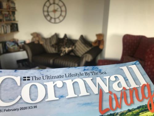 a sign for the ultimate lifeline lifeline by the sofa in a living room at Wellingtons in Fowey