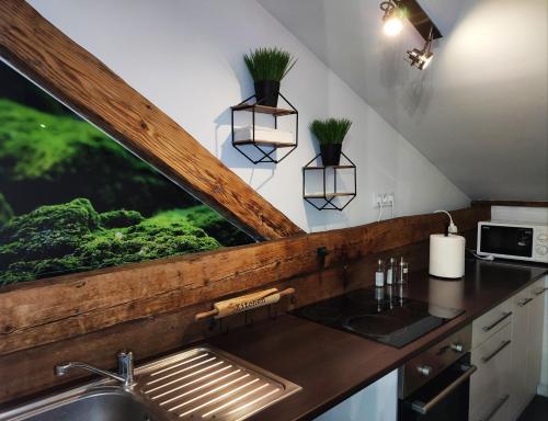 eine Küche mit Spüle und einem Fenster mit Pflanzen in der Unterkunft City-Center Apartment in Przemyśl