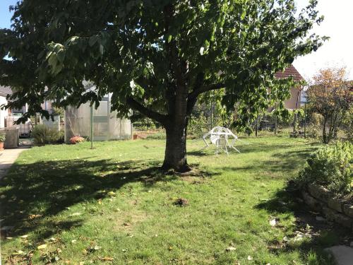 Taman di luar Ferienwohnungen Scheuring 2.OG