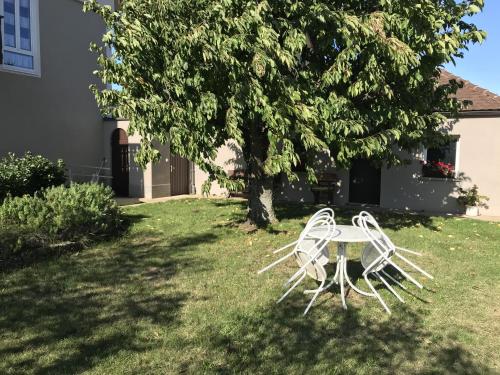 Taman di luar Ferienwohnungen Scheuring 2.OG
