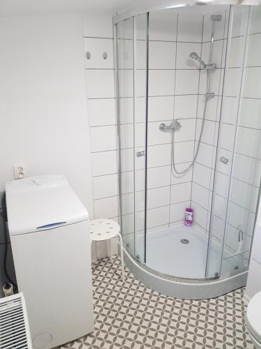 a white bathroom with a shower and a sink at Apartament Mariacka Two in Bydgoszcz