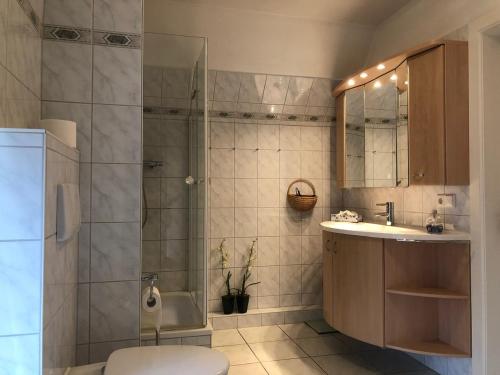 a bathroom with a shower and a toilet and a sink at Reethüs am Klintumer Moor in Leck