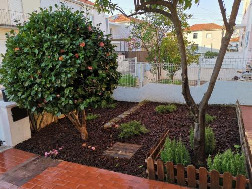 a garden with a tree and flowers in a yard at Villa Coimbra - Casa Inteira in Coimbra