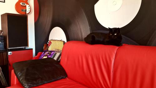 a black cat sitting on the back of a red couch at House of music in LʼAquila