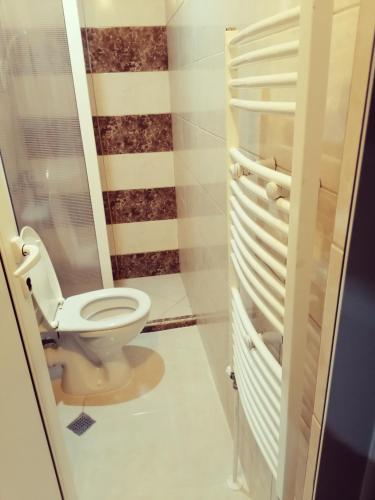 a bathroom with a toilet and a closet at Guest House Nani in Asenovgrad