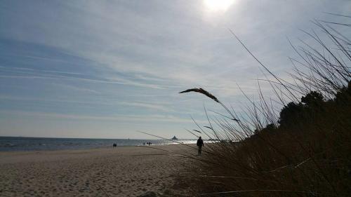 a person is flying a kite on the beach at Villa _Duenen vis a_ vis_ _ strand in Ahlbeck