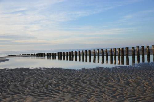 a beach with a pier in the water at Breeze Ameland in Hollum