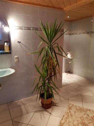 a potted plant in a bathroom with a sink at Ferienwohnungen Haus Dörfler in Abtenau