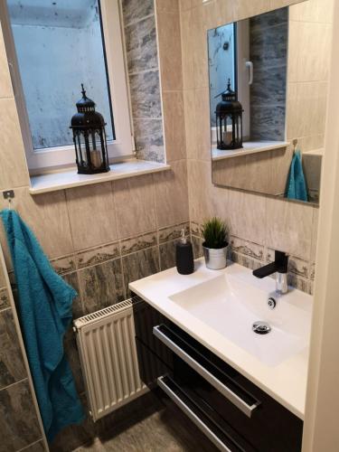 a bathroom with a sink and a mirror at Ferienwohnung "Vier Pfoten" in Korbach in Korbach