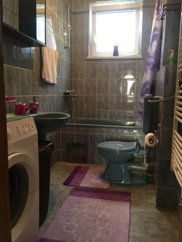 uma casa de banho com um WC verde e um lavatório em K & B Apartment Sarajevo Trebevićka 50A em Sarajevo