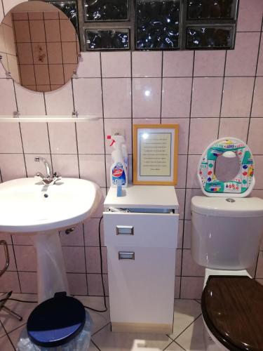 une salle de bain avec toilettes et lavabo dans l'établissement Gîte aux Sapins, à Sainte-Marie-aux-Mines