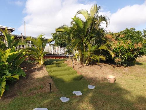 a group of green chairs in a yard with palm trees at Le Goyav' appart avec piscine et jacuzzi au Vauclin in Le Vauclin