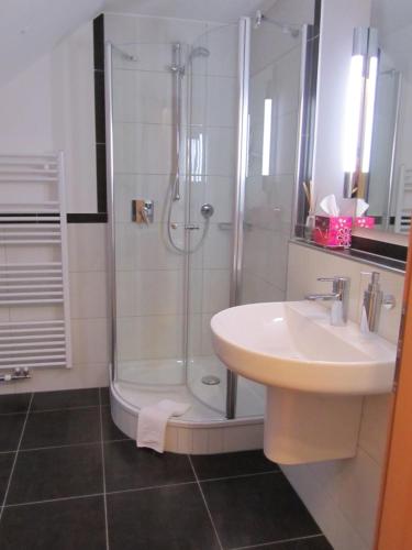 a bathroom with a shower and a sink and a shower at Land-gut-Hotel Lohmann in Drensteinfurt